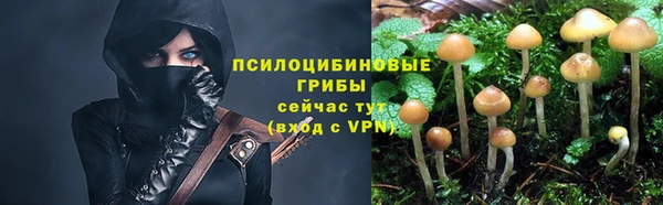 марки nbome Беломорск