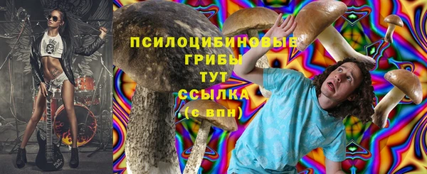 амф Белокуриха