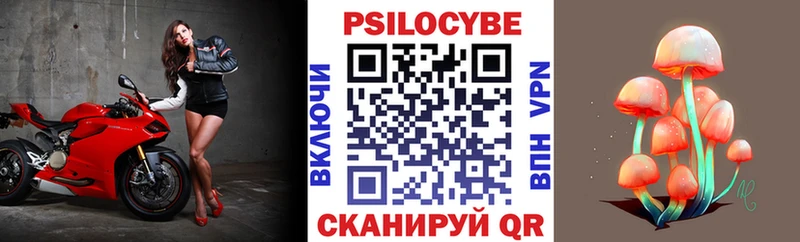 Галлюциногенные грибы Psilocybe сколько стоит мега рабочий сайт Кировск