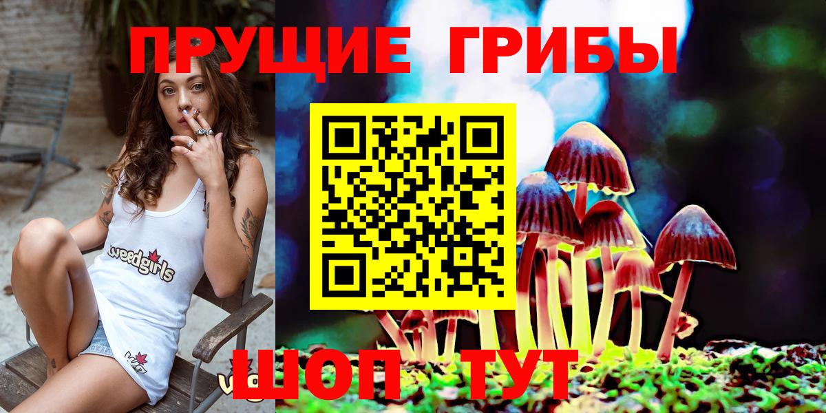 купить наркотики цена  Псилоцибиновые грибы Magic Shrooms  Вход с VPN  Кировск 