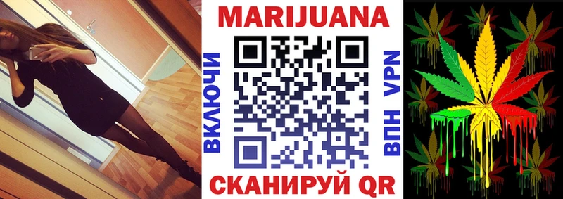 Каннабис план  как найти закладки  Кировск 